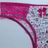 Calcinha Tanga Estampada com Laterais em Renda | Aycha
