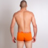 Cueca Box Sungão em Algodão Sem Estampa | Totter 8031