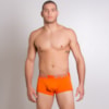 Cueca Box Sungão em Algodão Sem Estampa | Totter 8031